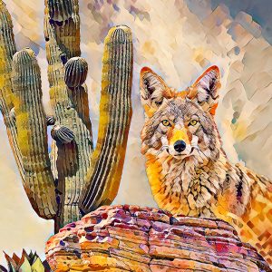 “Curious Coyote” by Theresa Poalucci